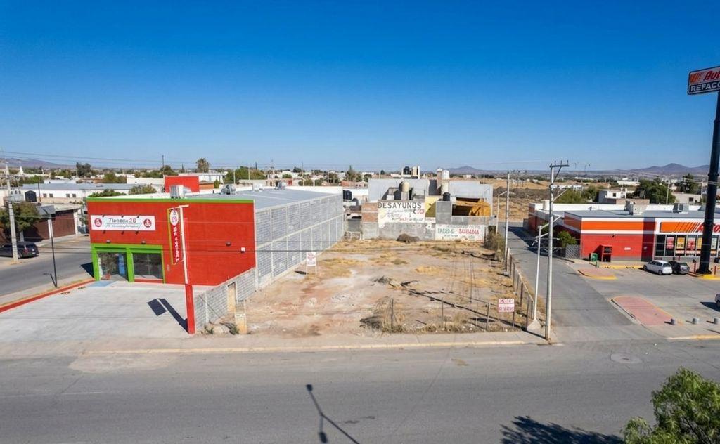 Foto de la galeria de imagenes