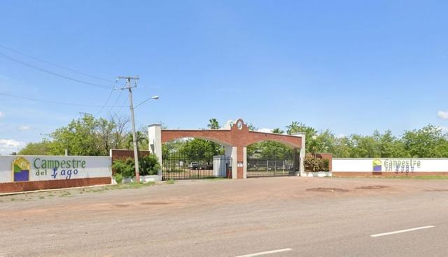 Foto de la galeria de imagenes