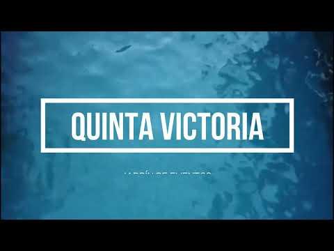 Previsualización de video