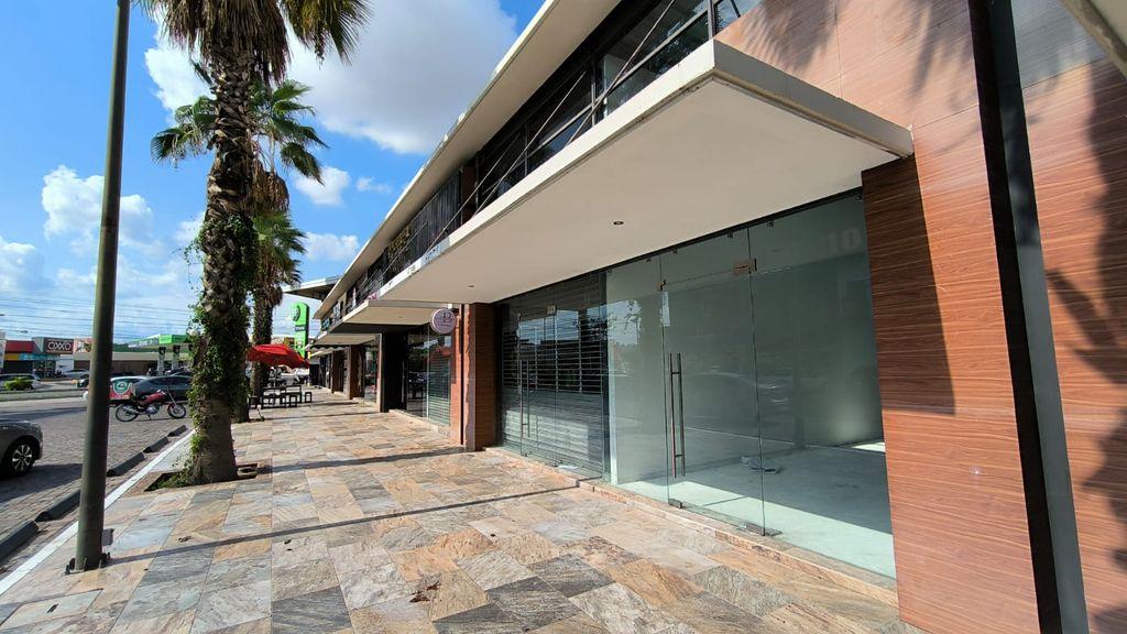 Foto de la galeria de imagenes