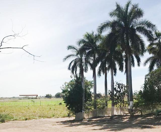 Foto de la galeria de imagenes