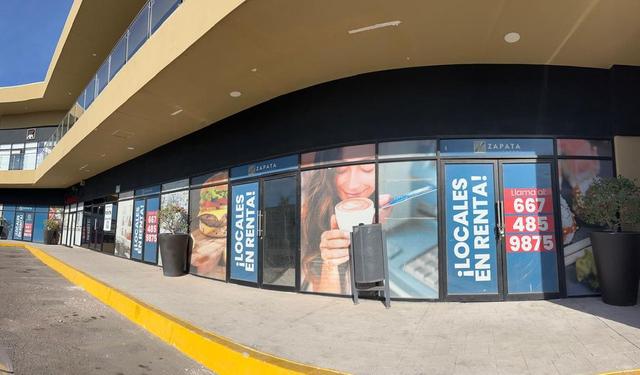 Foto de la galeria de imagenes