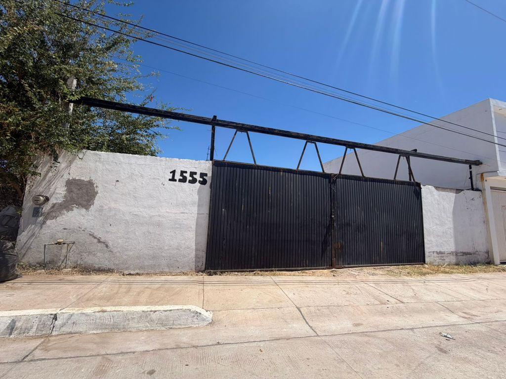Foto de la galeria de imagenes