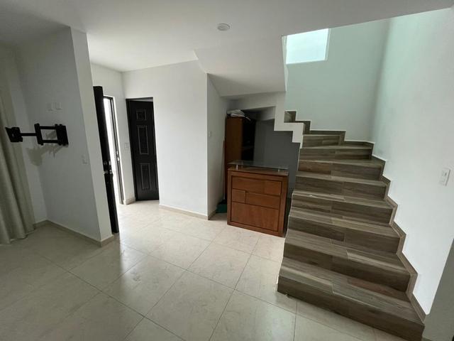 Foto de la galeria de imagenes